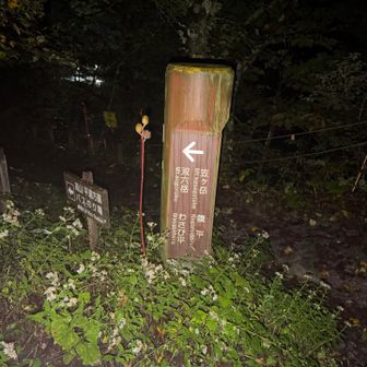 スマホのライトひとつで夜の登山を始める愚者