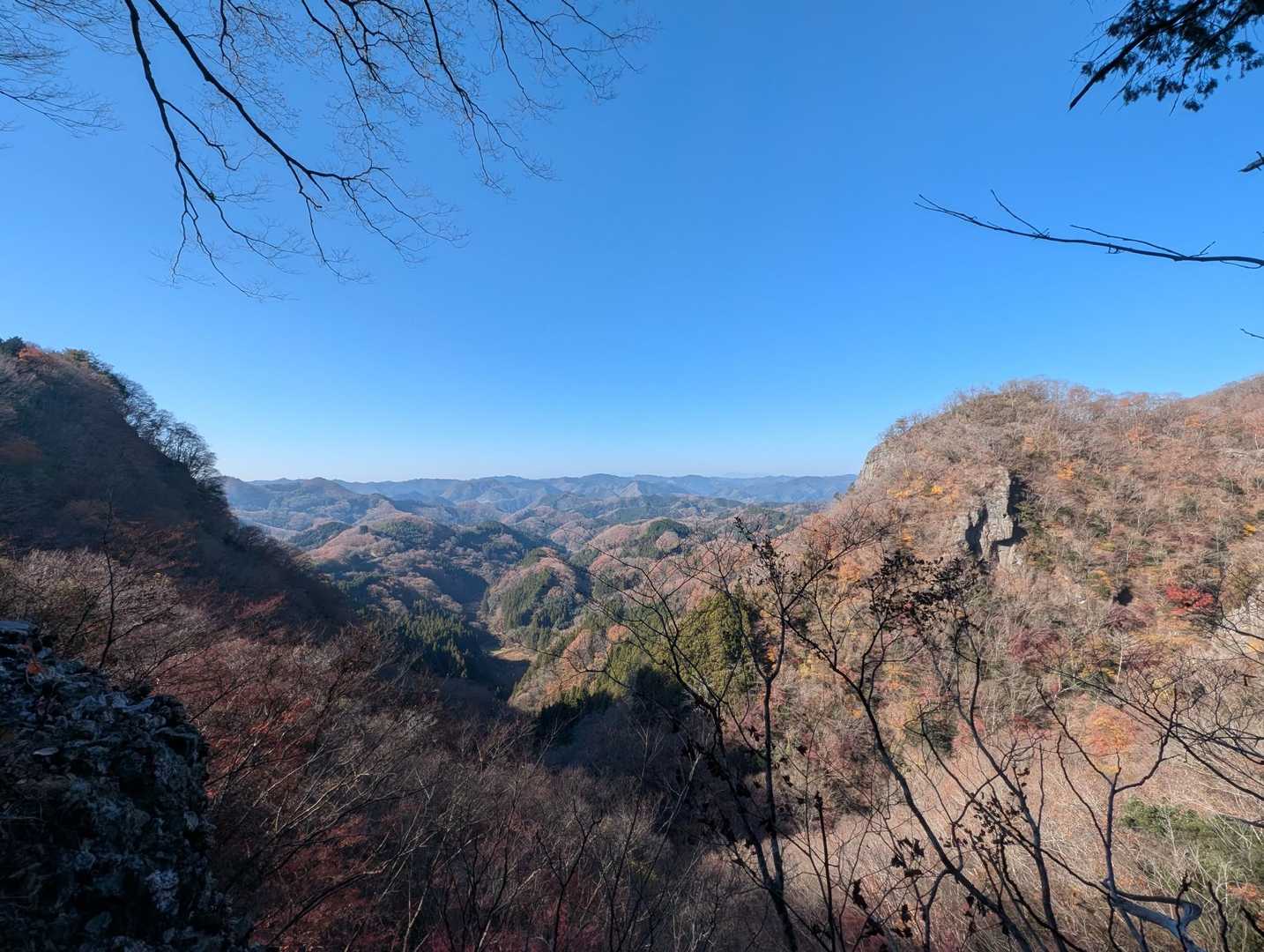 グラグラハシゴの上から
眺望よし✨