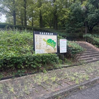 さぬき空港公園の駐車場に停めました。