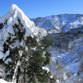 観鋸台から鋸山方面　木に付いた雪が重そう
