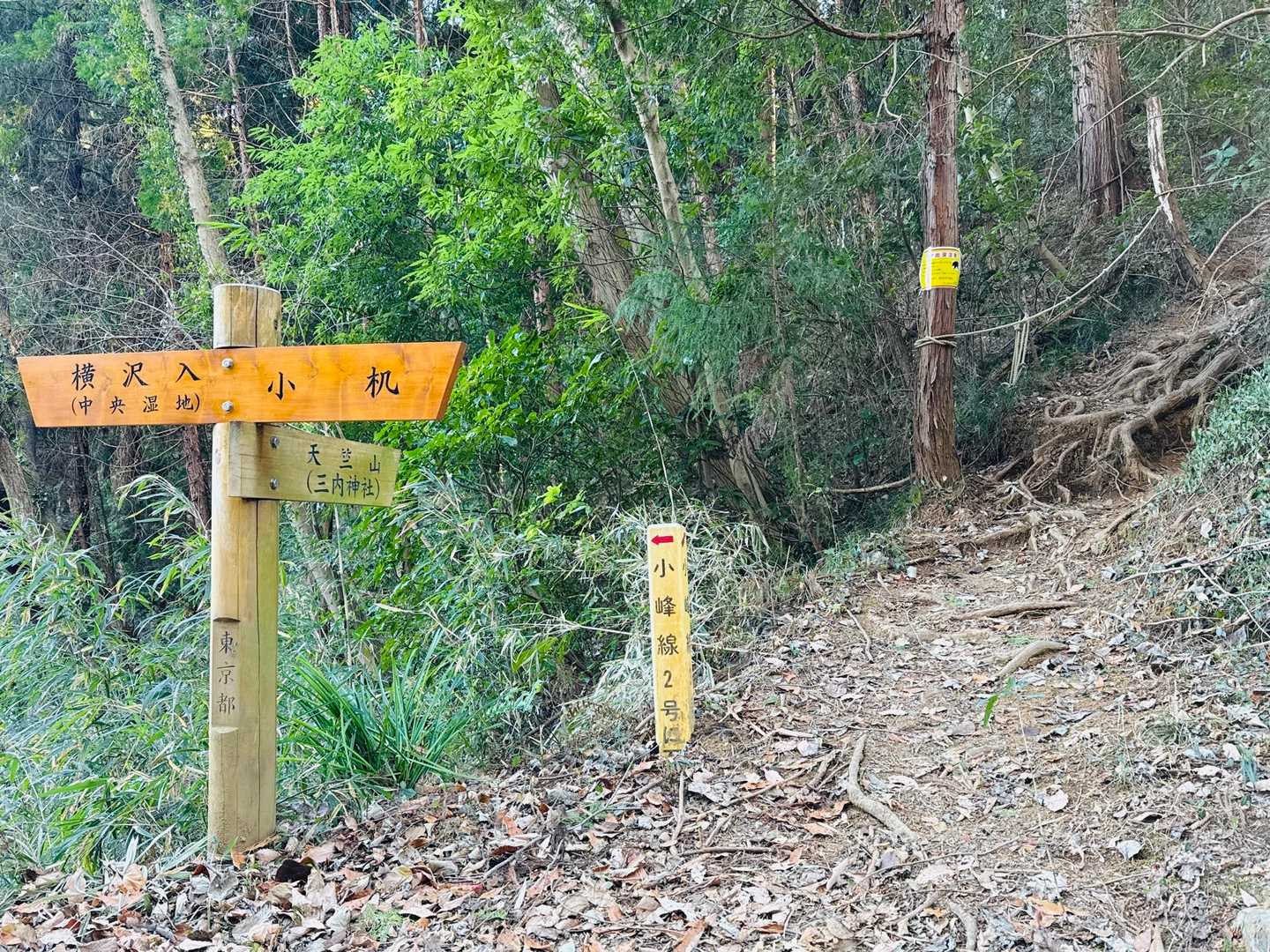本日最後のピーク、天竺山へ！
(   ˶'ᵕ'˶و(و "