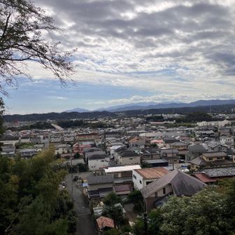 狛犬の見てる景色かな