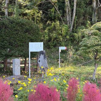 ここらか入る登山道が通行止めみたいです。