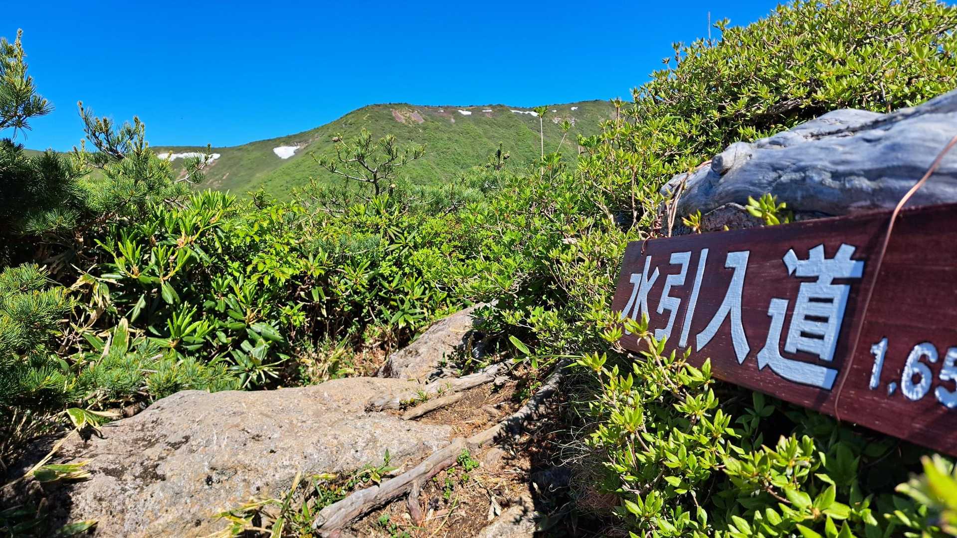 白石女子校小屋跡-不忘山-南屏風岳-水引入道 縦走コースの写真