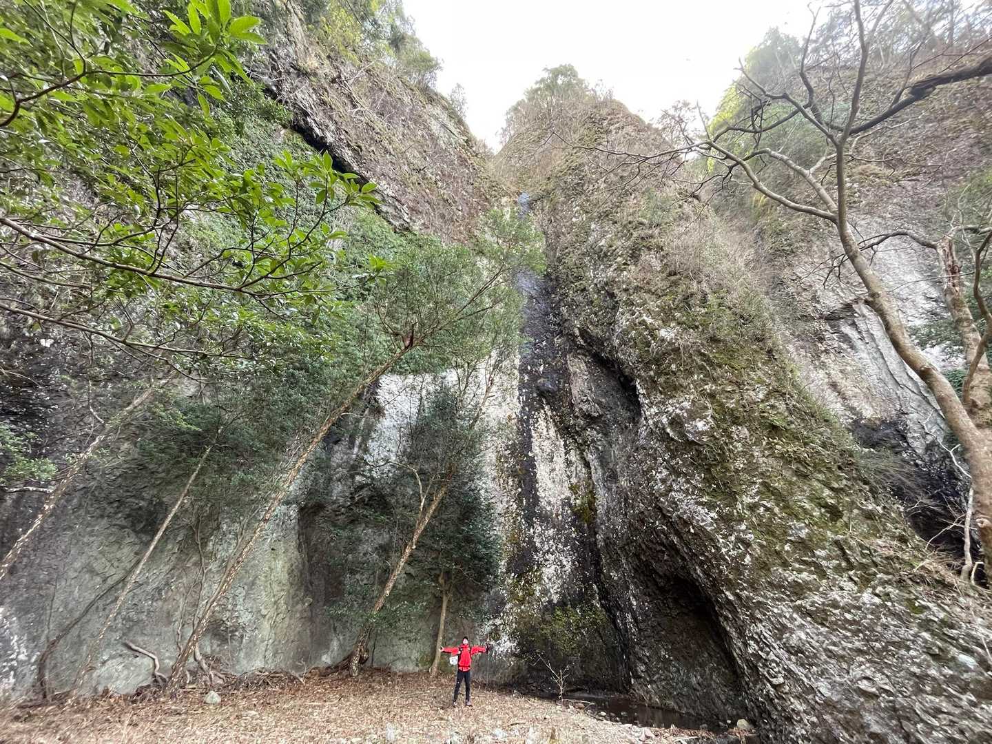 岩古谷山登山口-岩古谷山 周回コースの写真
