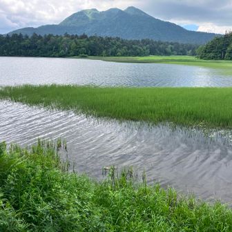尾瀬沼と燧ヶ岳