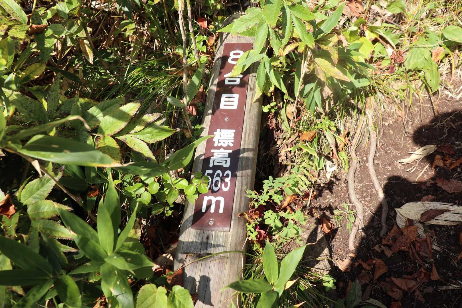８号め　倒れてる〜