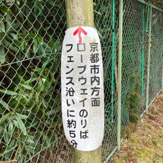 少し歩いたのに今度は5分とな。
ここから歩いて5分だな。
