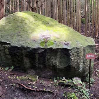 苔むす岩っていいよね