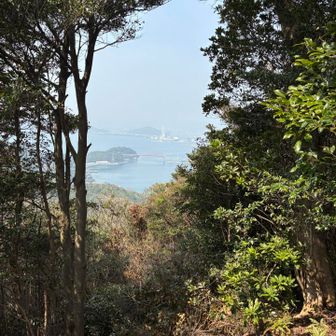 もう少し前に行ったら笠戸大橋が見えると思いますが、前述のとおり高所恐怖症で脚が((((；ﾟДﾟ))))ｶﾞｸｶﾞｸﾌﾞﾙﾌﾞﾙ
です