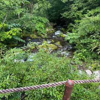 しばらくは　沢沿い