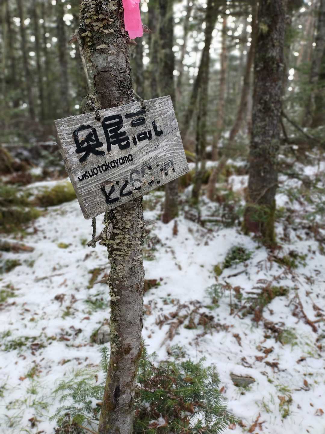 奥尾高山