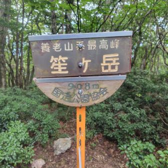 山頂到着