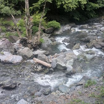 ここを渡渉する
どうにか対岸の岩に飛び乗れた