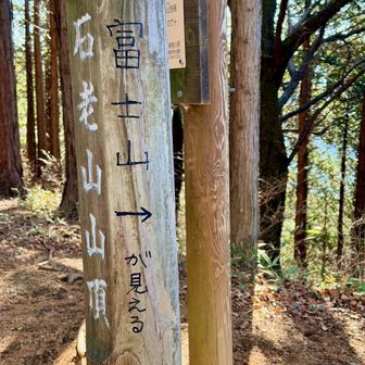 「富士山が見える」とマジックで記してありますが・・・