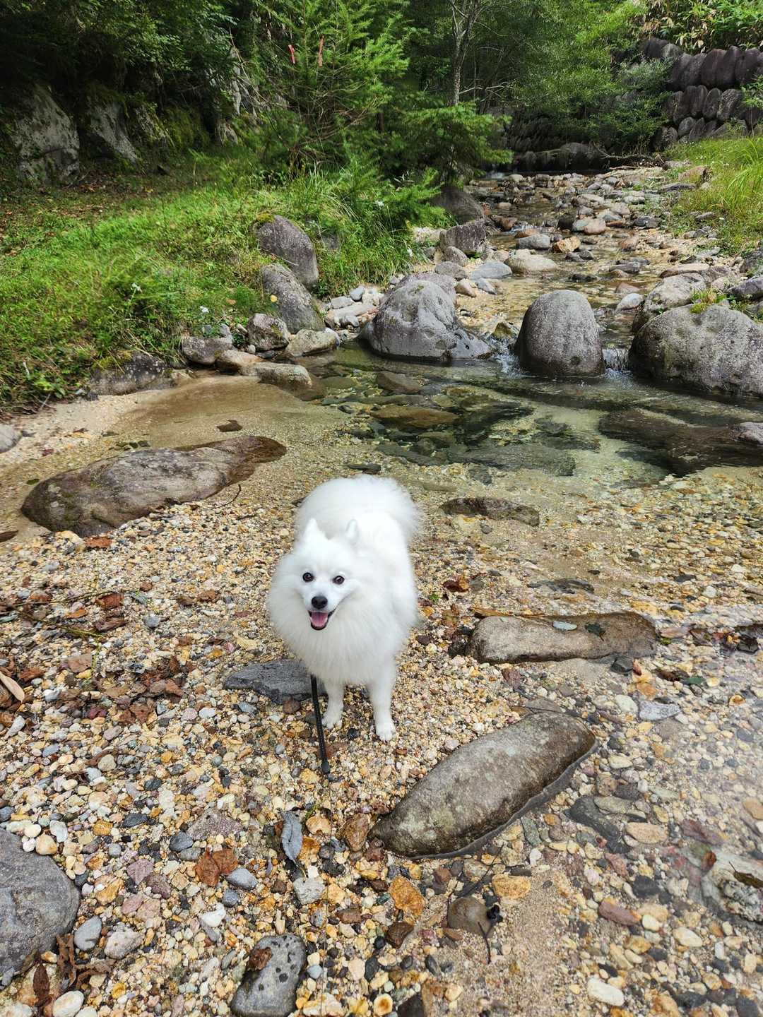 無事帰ってきました
