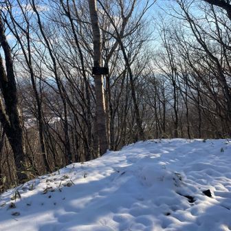 到着です。安戸山、栃木百名山