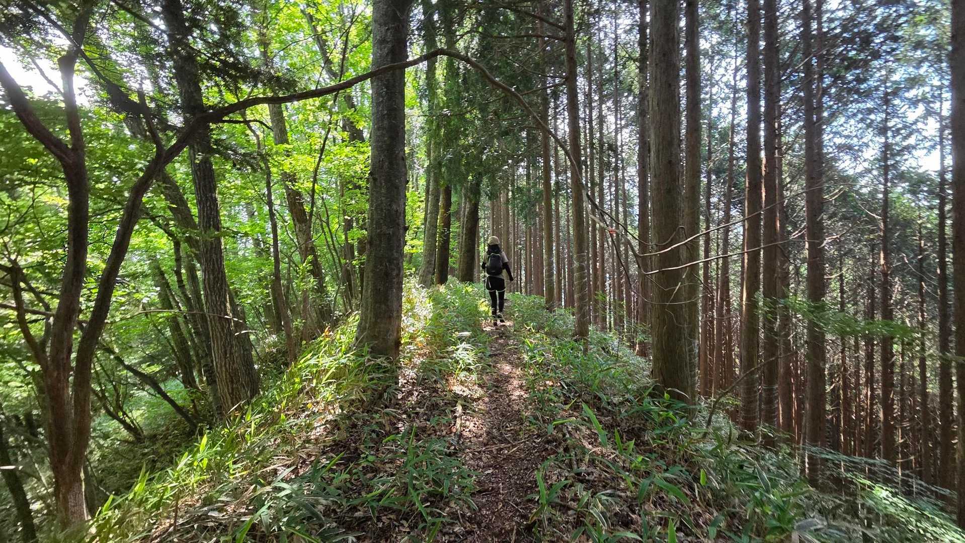 尾根遺産