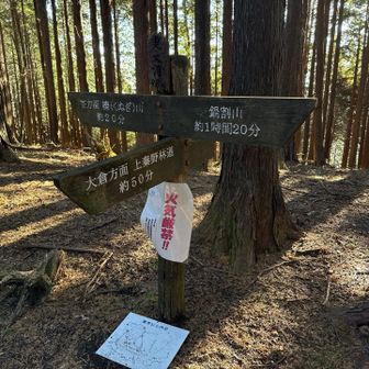 栗ノ木洞山頂。後沢乗越から寄バス停まで出会った人は無し。