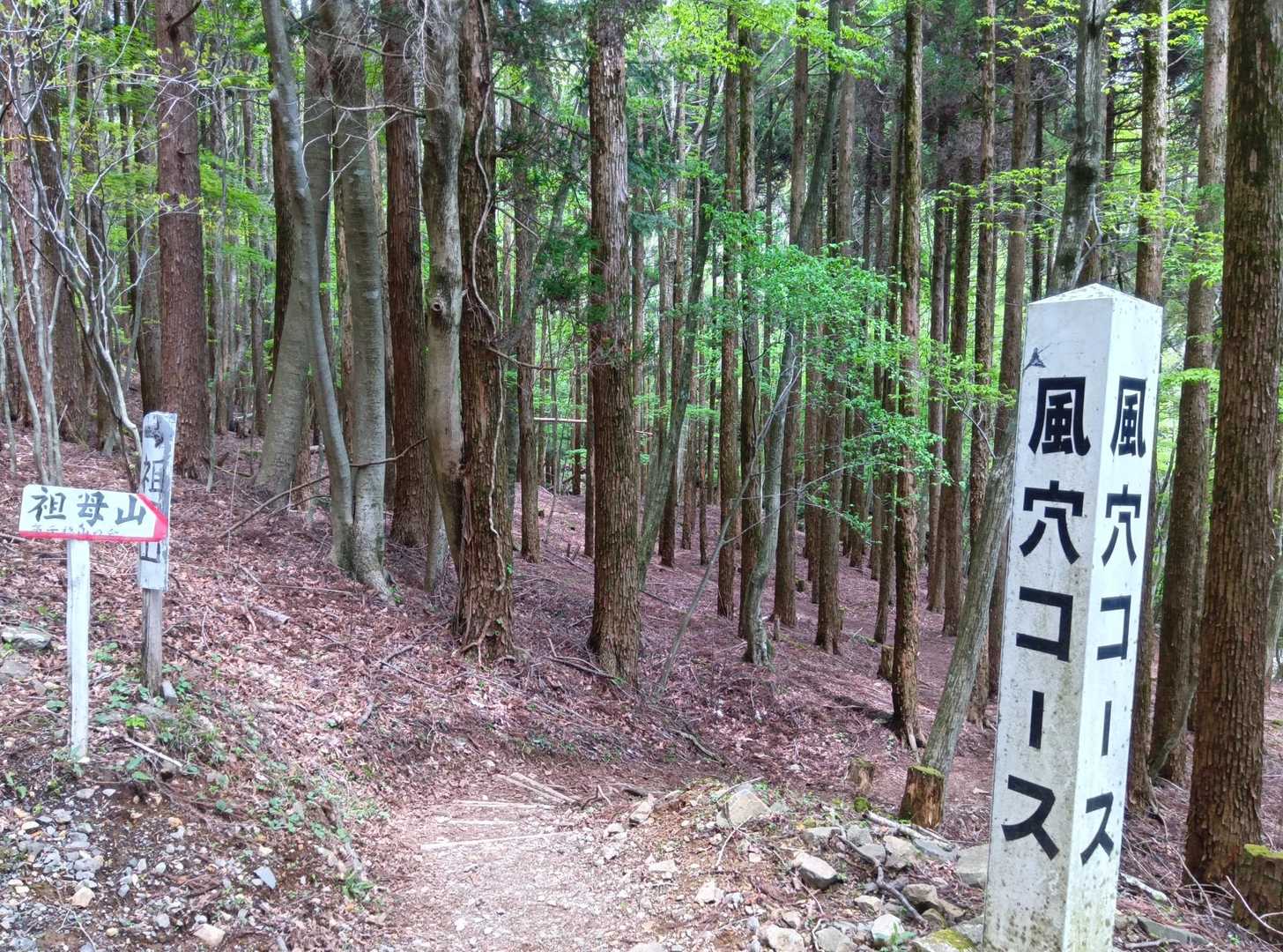 風穴コースへ✨