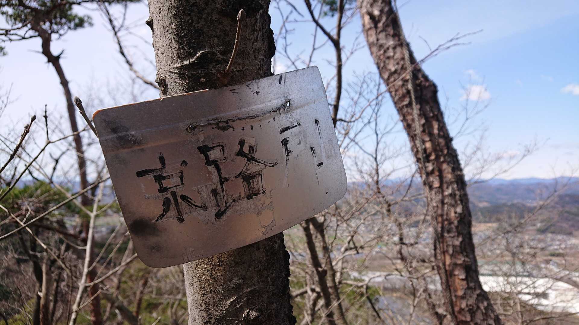 京路戸山、登頂🏕️
名前から京都っぽさを感じた🤔