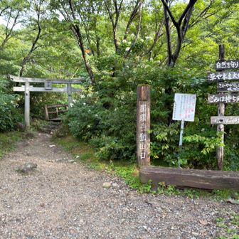 今回もよろしくお願いします〜