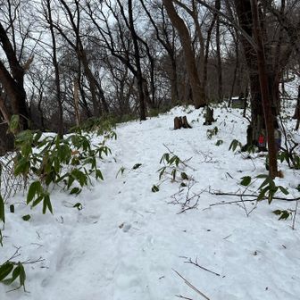 雪がまだ溶けてなくて歩きやすい！