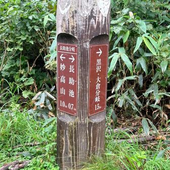 長助池分岐
ここから先がきつい