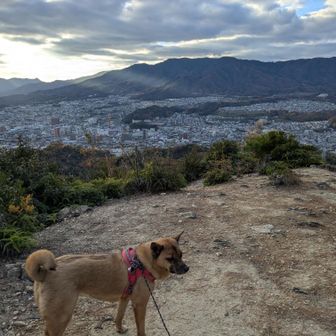 佐伯区展望ポイントもそこそこに…