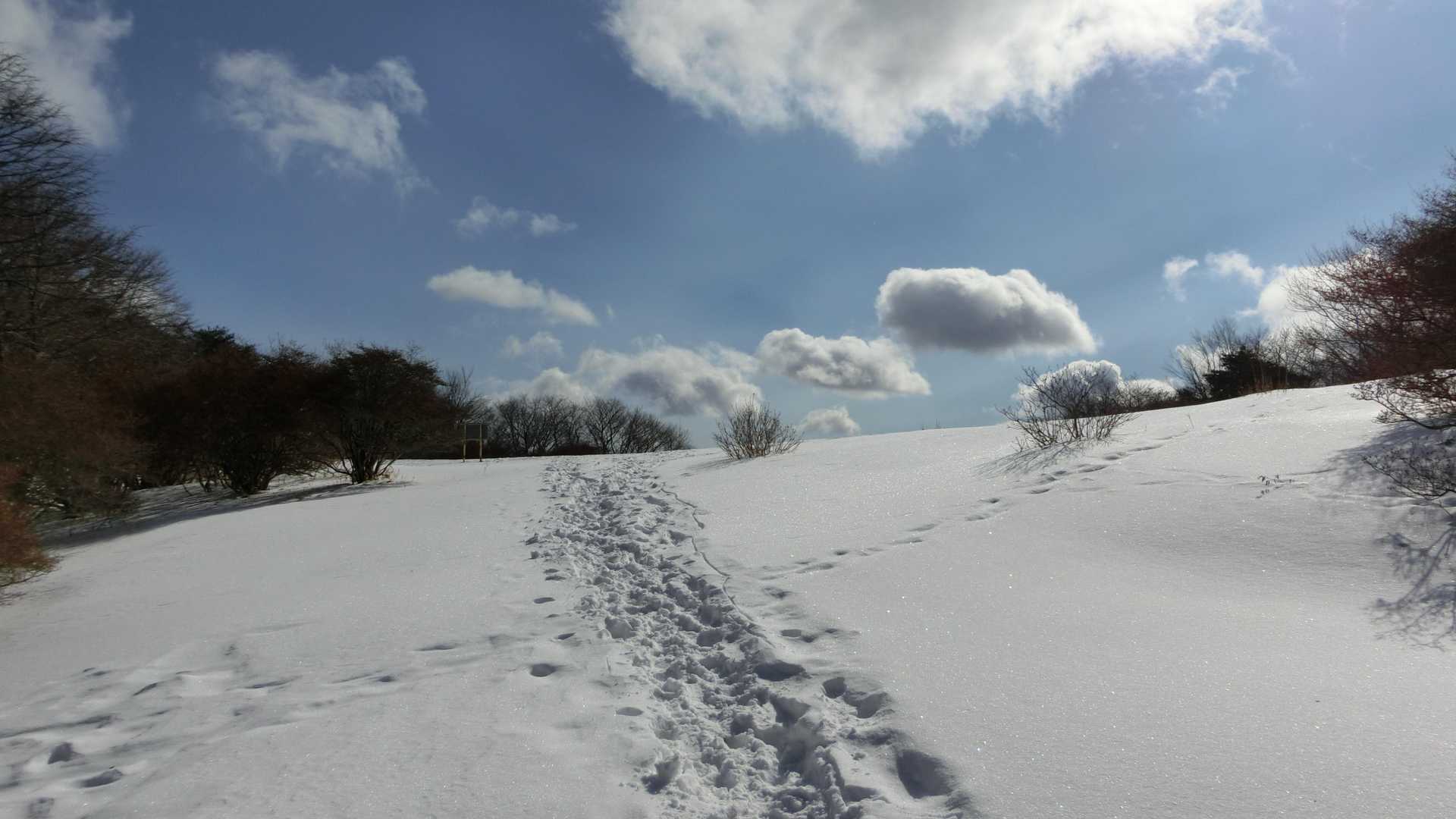 小屋の外の風景