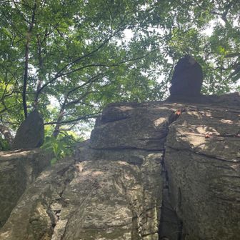 逆光ですが
大天狗・少天狗の石碑
