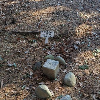グレーピークの朝日山は三角点