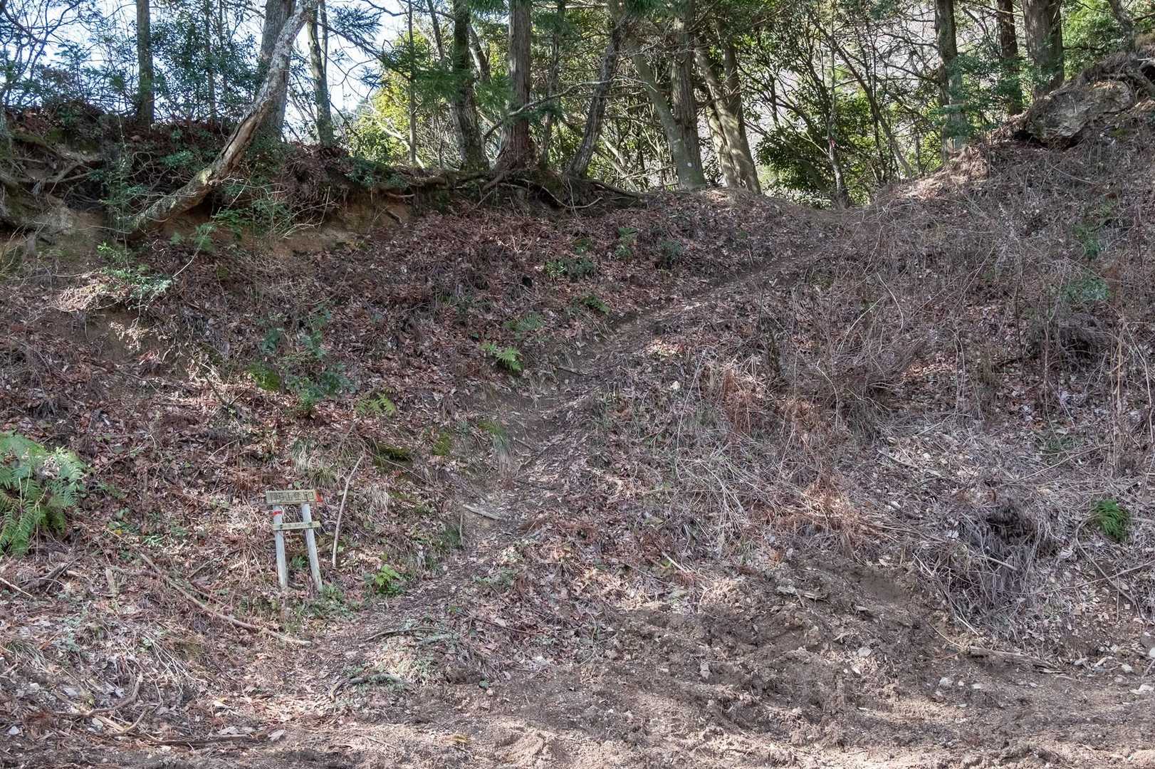 車道を30分ほど歩いて登山口