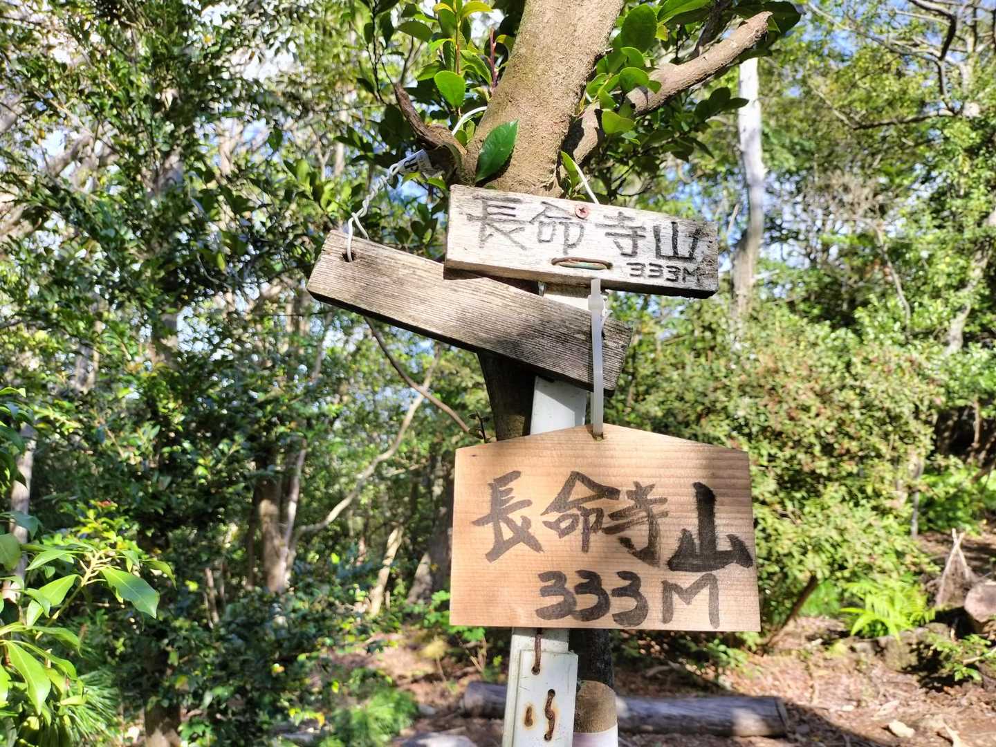 長命寺山