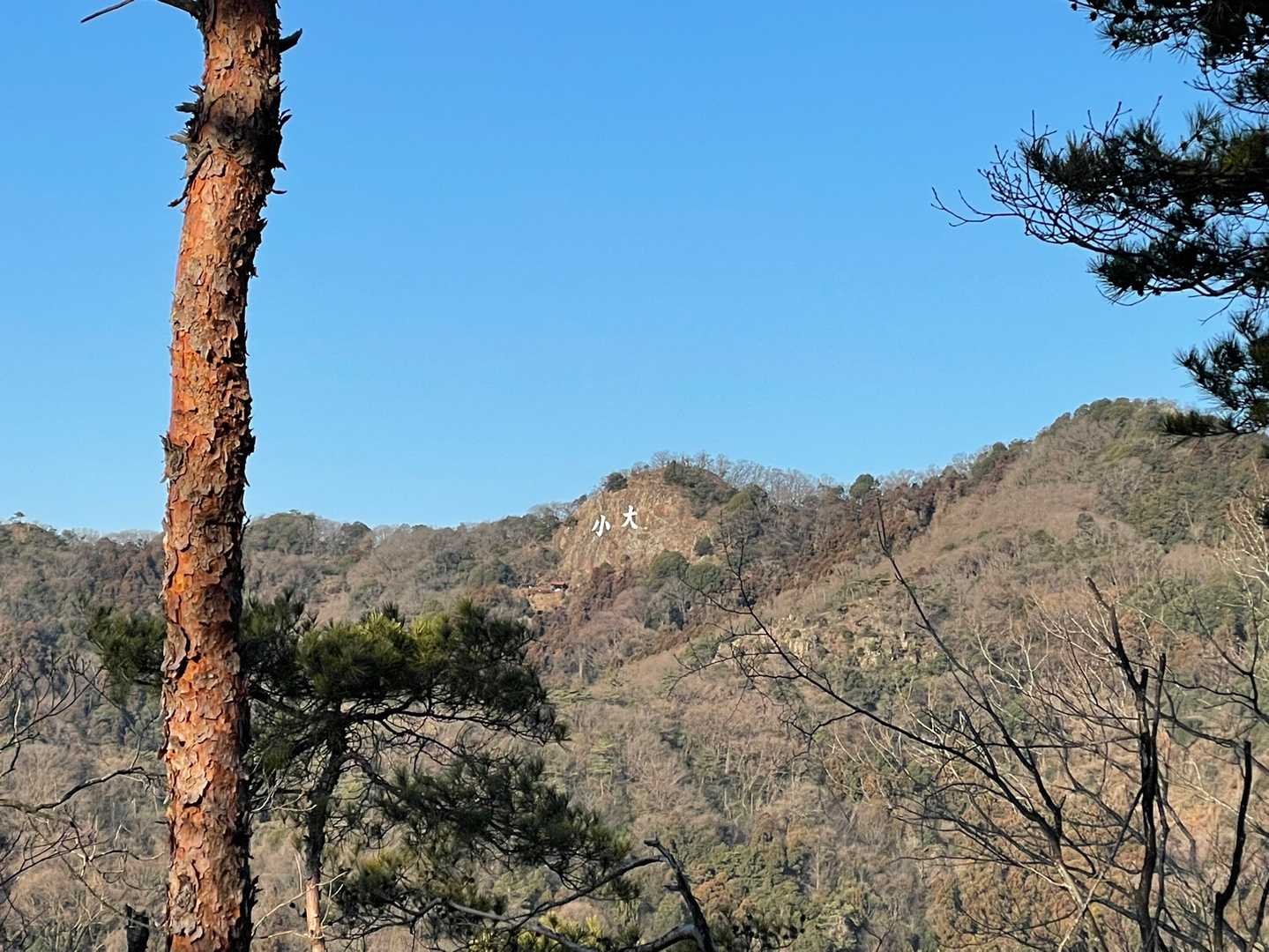 大小山の有名な「大小」の文字が見えた！

「大小」の文字板は、阿夫利神社に祭られている「大天狗」と「小天狗」にちなみ、江戸末期の1855年（安政2年）に無病息災を祈願する周辺住民の手により設置されたそうです。