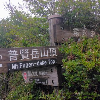 霧氷沢分岐。今回は行かず
