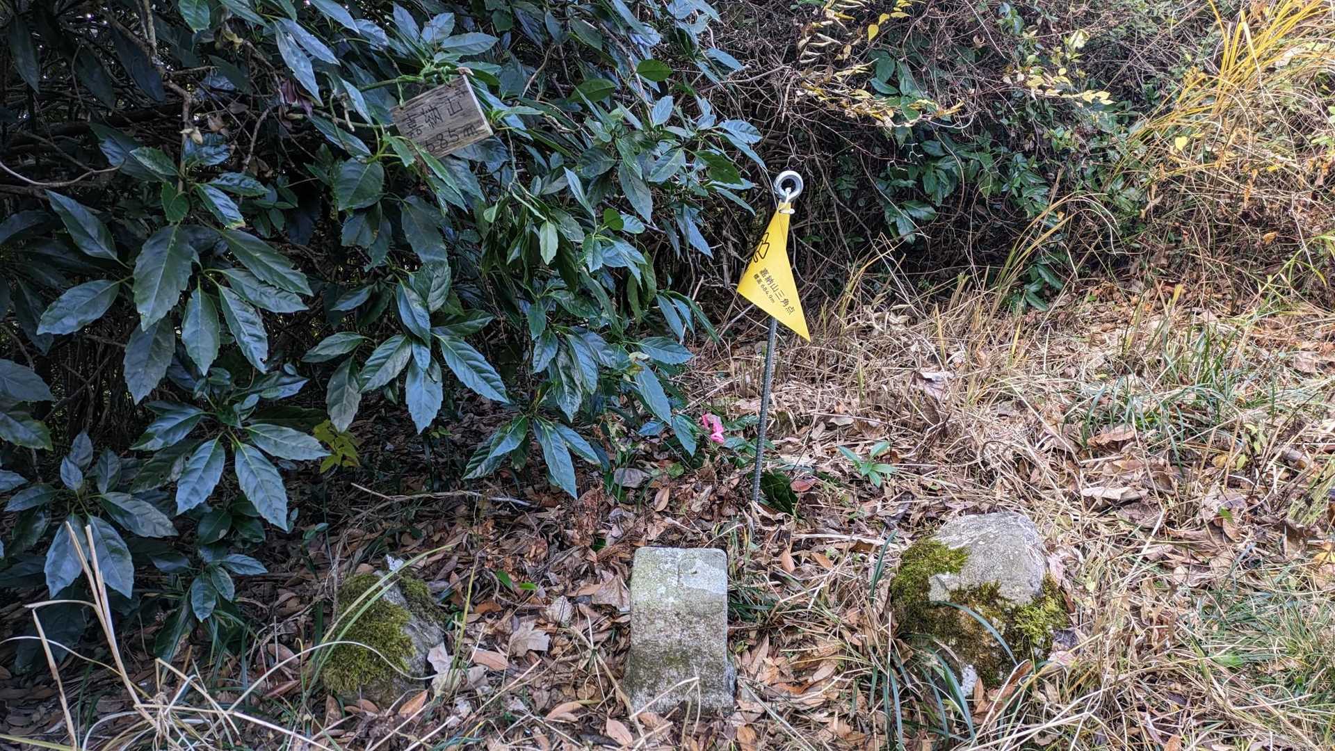 嘉納山の三角点