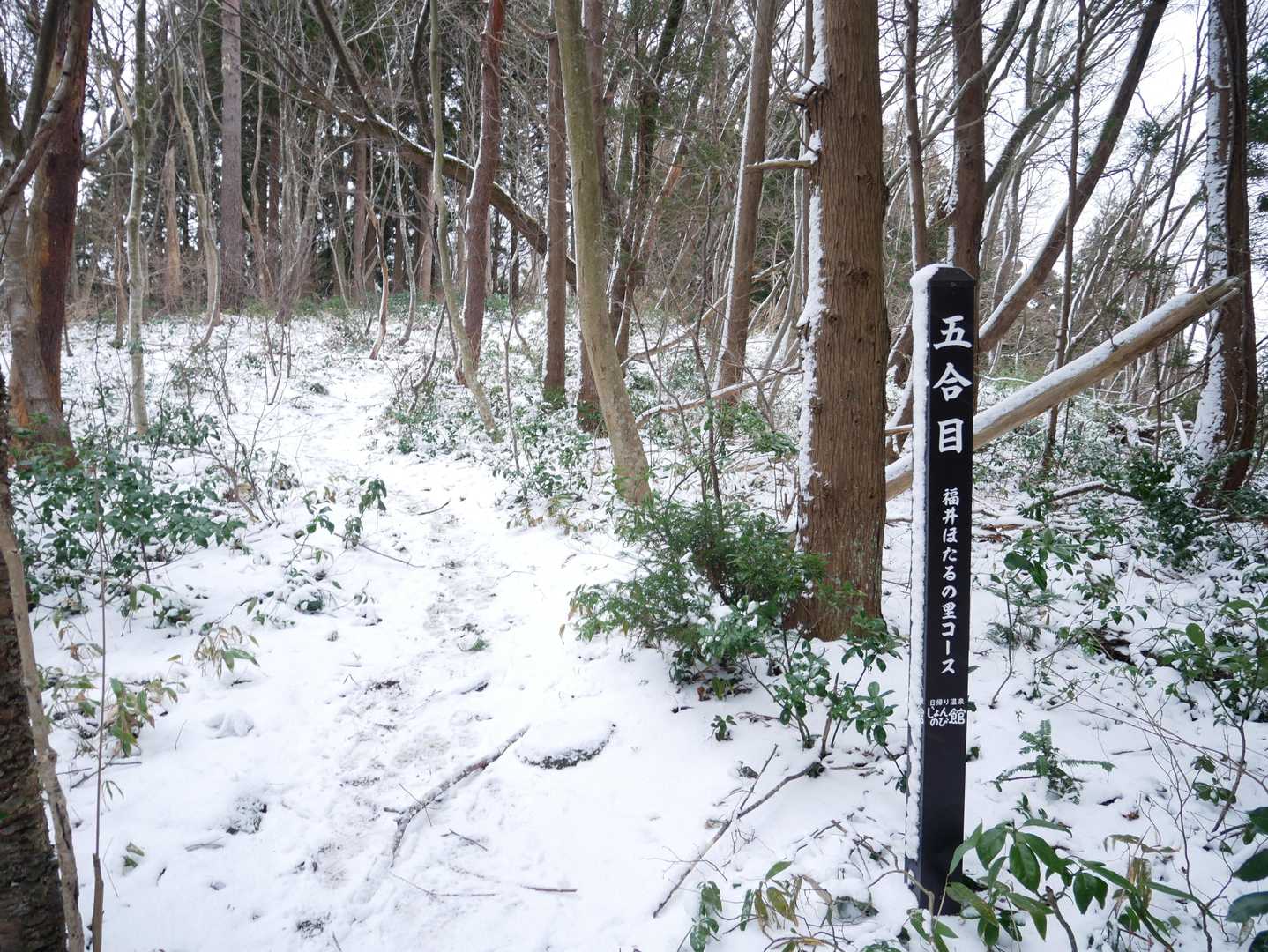 ５合目を過ぎたころから道も雪に覆われるようになり，，