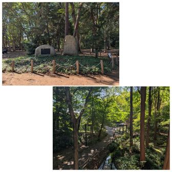 8座目⛰️
林試の森（品川区　林試の森公園内）

林業研究発祥の地🌲
なかなかの人出で、外国人も多かった。