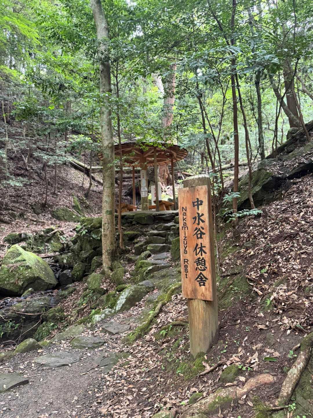 若草山麓バス停-春日大社 周回コースの写真