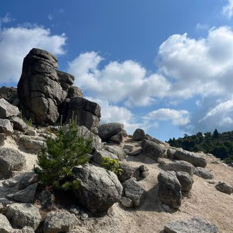 此処が羽鳥峰か？