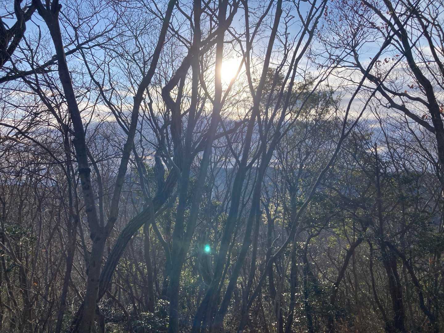 ピークで山名板探しても見つからず→危ない、まだ山頂じゃありませんでした😅
ヤマップ確認しなかったら完全に戻ってました。