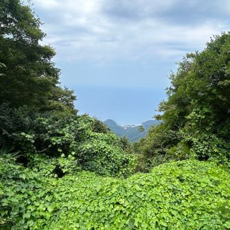 佐渡が見えてません。