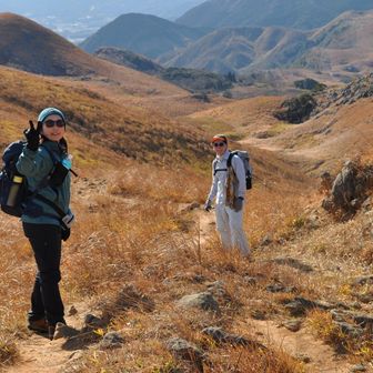 サングラス🕶️コンビさん笑