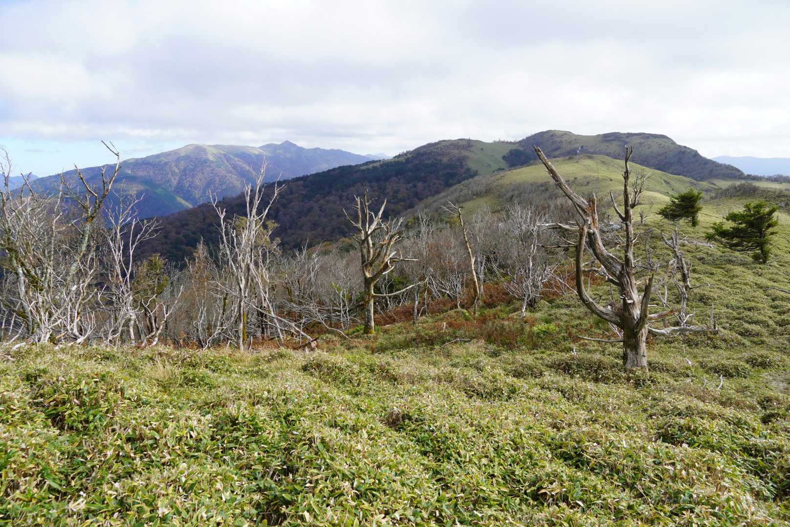 左奥に牛の背・天狗塚
絶景の中を歩く