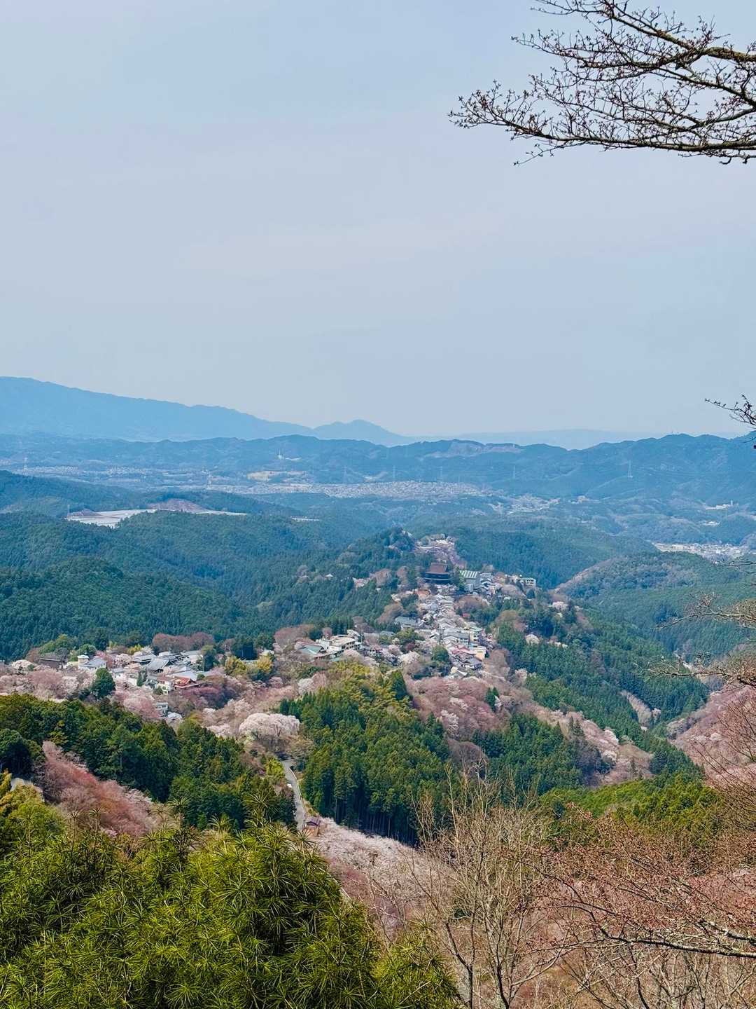 吉野の風景