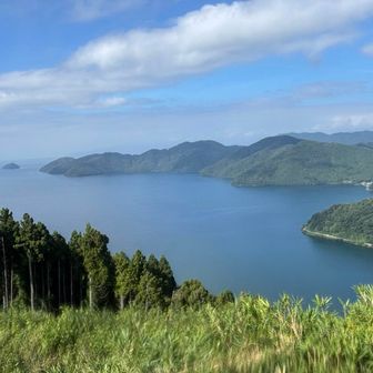 賤ヶ岳ピークは爽やかな優しい風が吹き抜けてました😊😔（唯一）

ここまで蝉のアタック15回以上！

デッカイバッタ？が口にスポッと入りかけ、ちっちゃいアブ？１匹丸呑みしました

余呉湖の東側は大丈夫です👌
（蝉のアタックは喰らうかもっ）