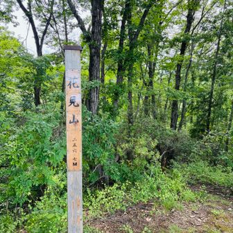 花見山登頂〜⛰️