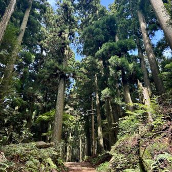 晴れてきたー
あぁ暑い🥵