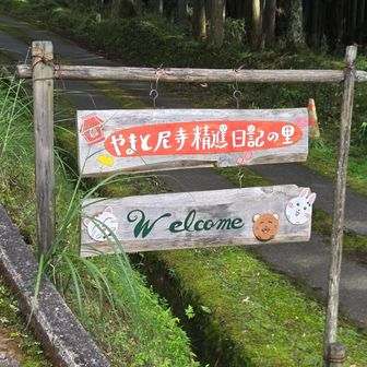 道中、所々にイラスト入り道標がありました